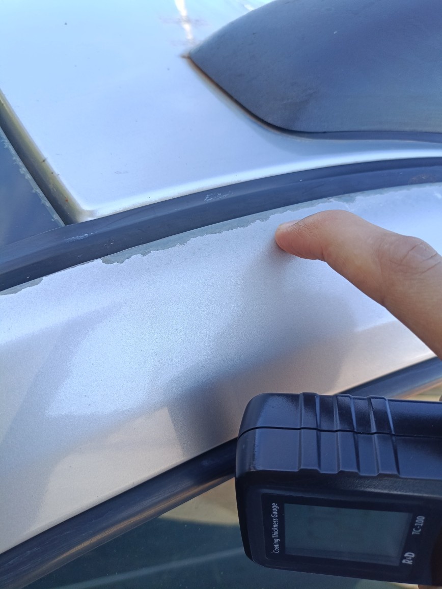 RENAULT DUSTER 1.6 DYNAMIQUE 4X2 16V FLEX 4P MANUAL