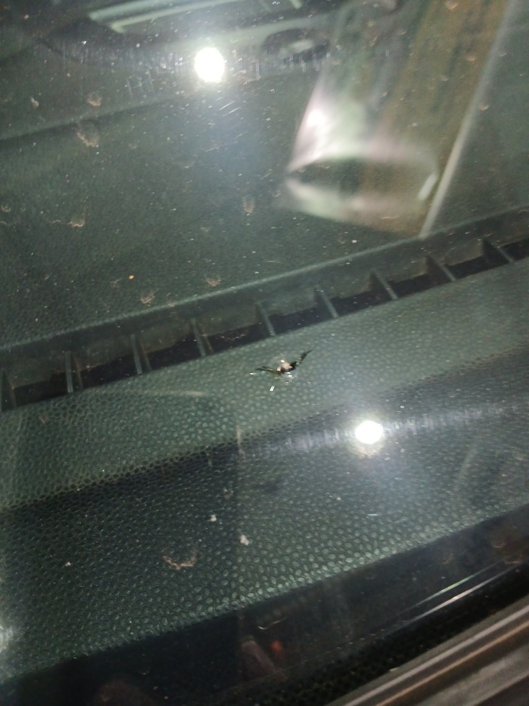 FORD ECOSPORT 1.5 TI-VCT FLEX FREESTYLE AUTOMATICO