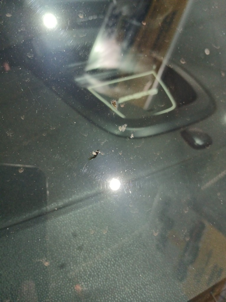 FORD ECOSPORT 1.5 TI-VCT FLEX FREESTYLE AUTOMATICO