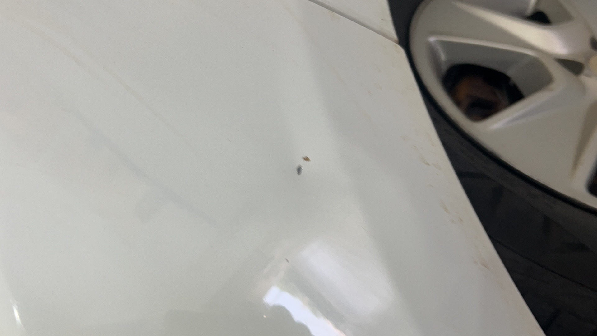 RENAULT LOGAN 1.6 DYNAMIQUE 8V FLEX 4P AUTOMATIZADO