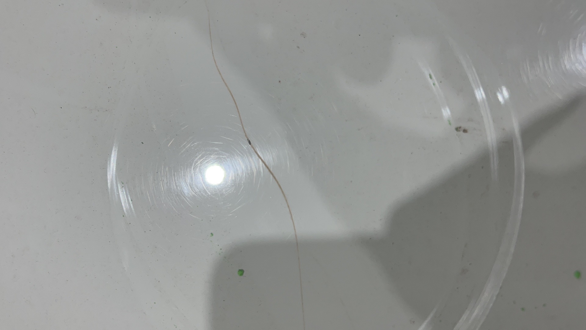 RENAULT LOGAN 1.6 DYNAMIQUE 8V FLEX 4P AUTOMATIZADO