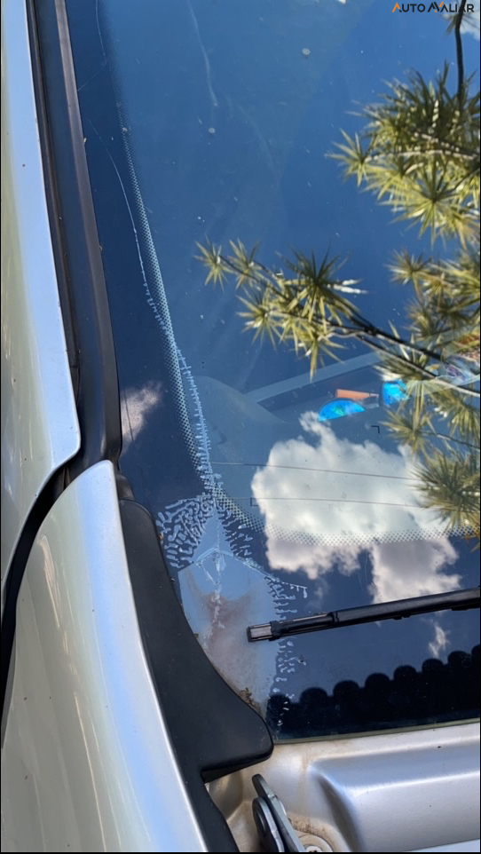 RENAULT DUSTER 1.6 DYNAMIQUE 4X2 16V FLEX 4P MANUAL