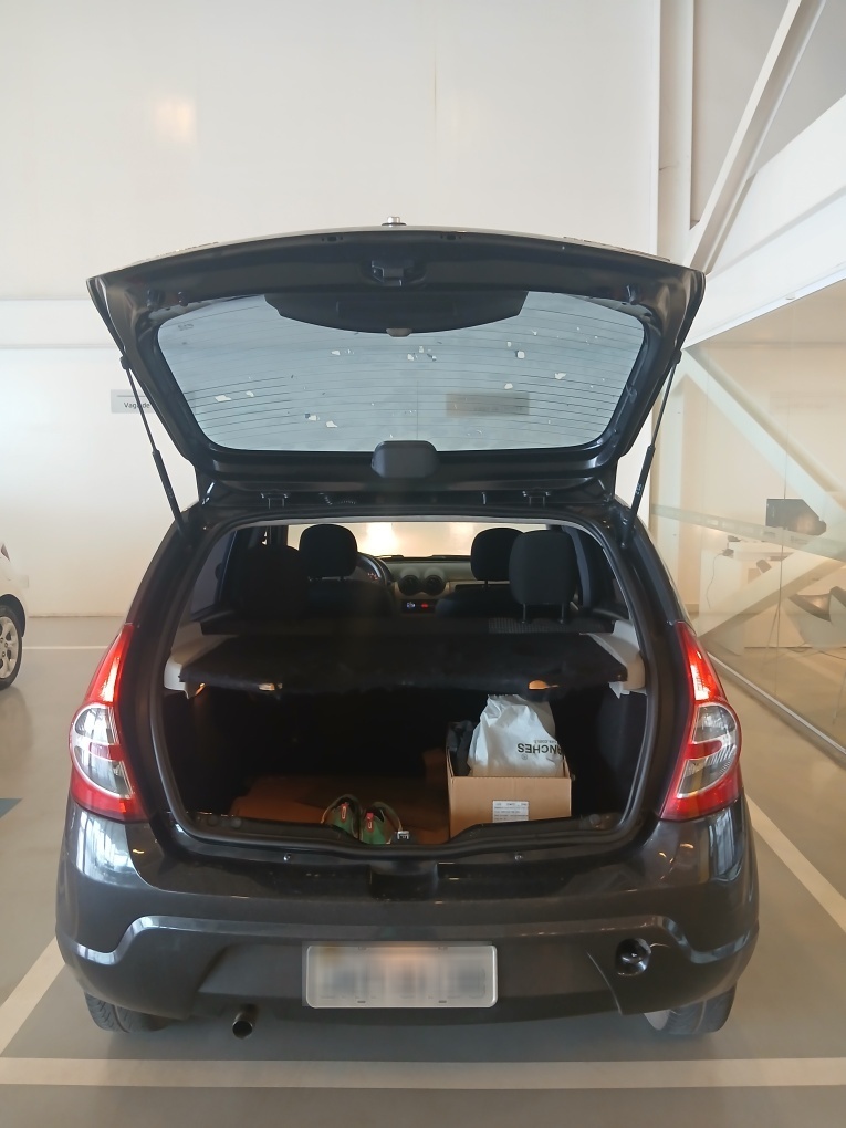 RENAULT SANDERO 1.6 EXPRESSION 8V FLEX 4P MANUAL