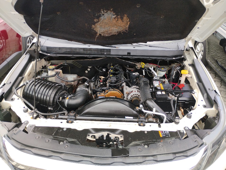 CHEVROLET S10 2.8 LS 4X4 CD 16V TURBO DIESEL 4P MANUAL