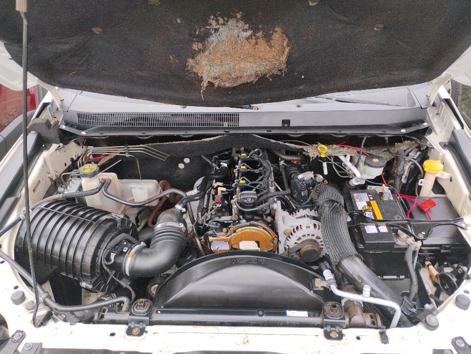 CHEVROLET S10 2.8 LS 4X4 CD 16V TURBO DIESEL 4P MANUAL