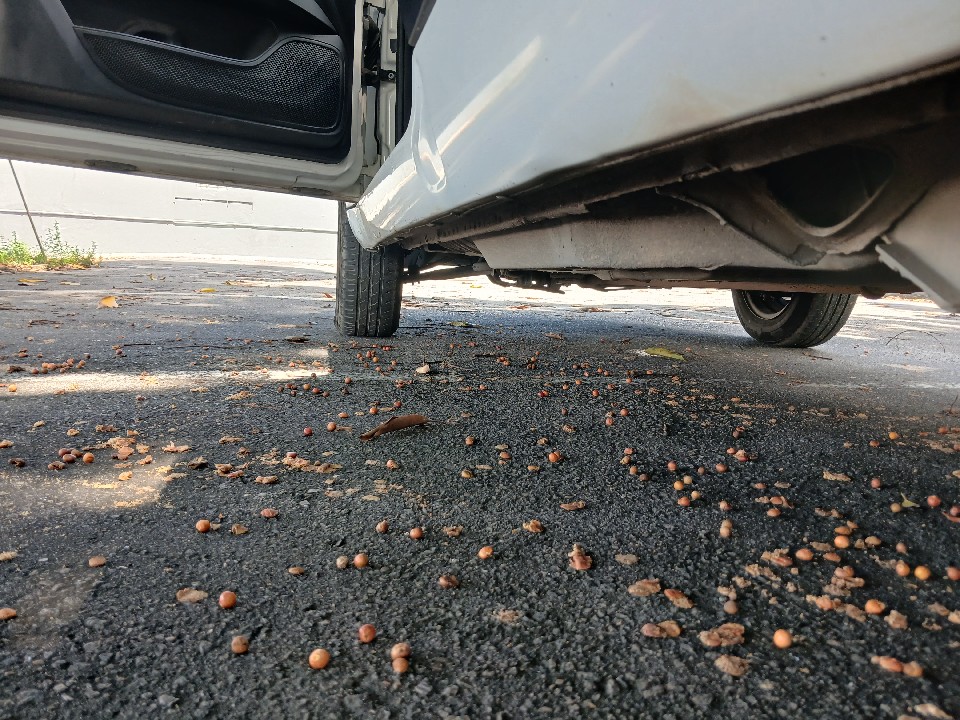 FIAT FIORINO 1.4 MPI FURGAO 8V FLEX 2P MANUAL