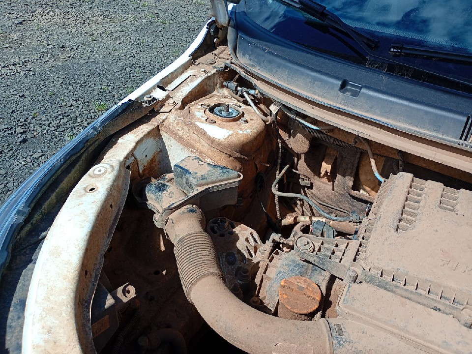 FIAT ARGO 1.0 FIREFLY FLEX