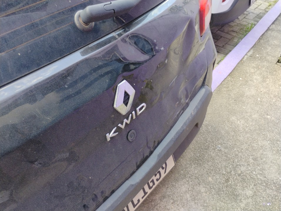 RENAULT KWID 1.0 12V SCE FLEX ZEN MANUAL