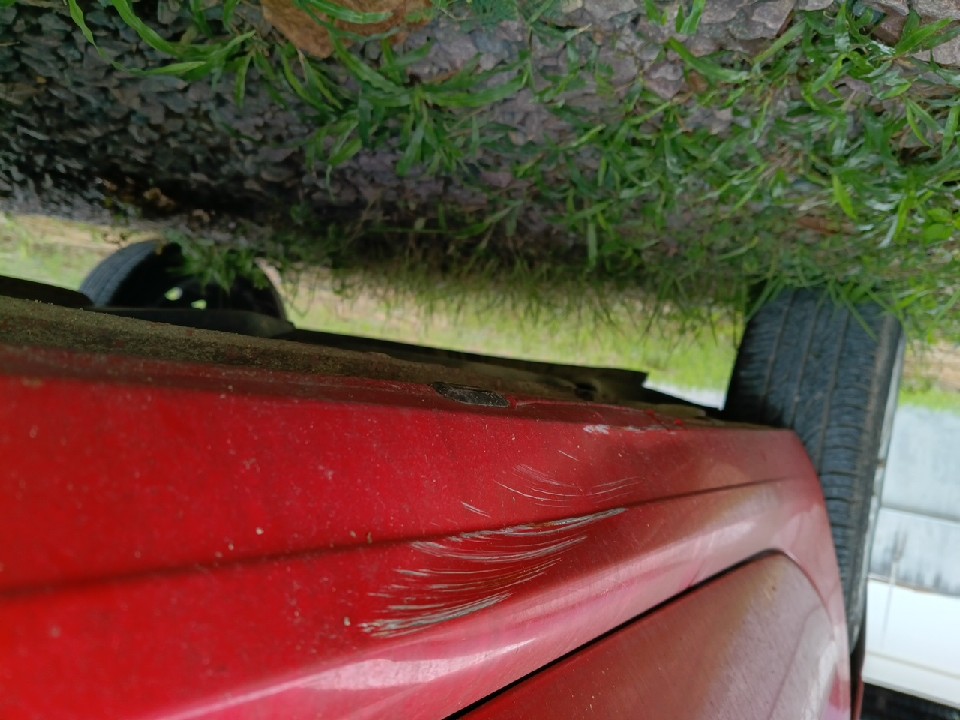 FIAT ARGO 1.0 FIREFLY FLEX