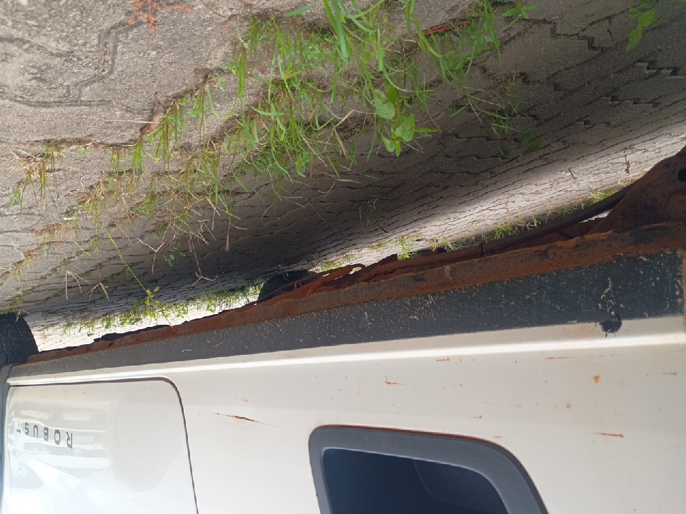 VOLKSWAGEN SAVEIRO 1.6 MSI ROBUST CS 16V FLEX 2P MANUAL