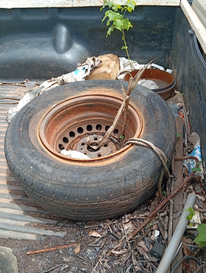 VOLKSWAGEN AMAROK 2.0 S 4X4 CS 16V TURBO INTERCOOLER DIESEL 2P MANUAL