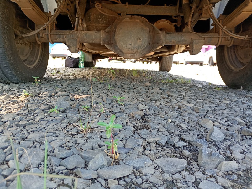 VOLKSWAGEN AMAROK 2.0 S 4X4 CS 16V TURBO INTERCOOLER DIESEL 2P MANUAL