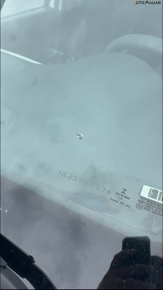 RENAULT SANDERO 1.0 12V SCE FLEX EXPRESSION MANUAL