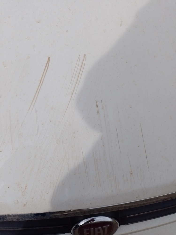 FIAT PALIO 1.0 MPI FIRE 8V FLEX 4P MANUAL