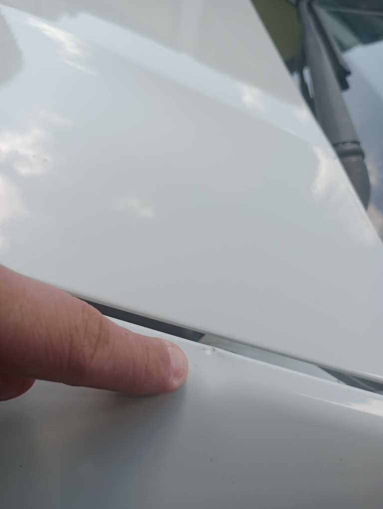 RENAULT DUSTER 2.0 DYNAMIQUE 4X2 16V FLEX 4P AUTOMATICO