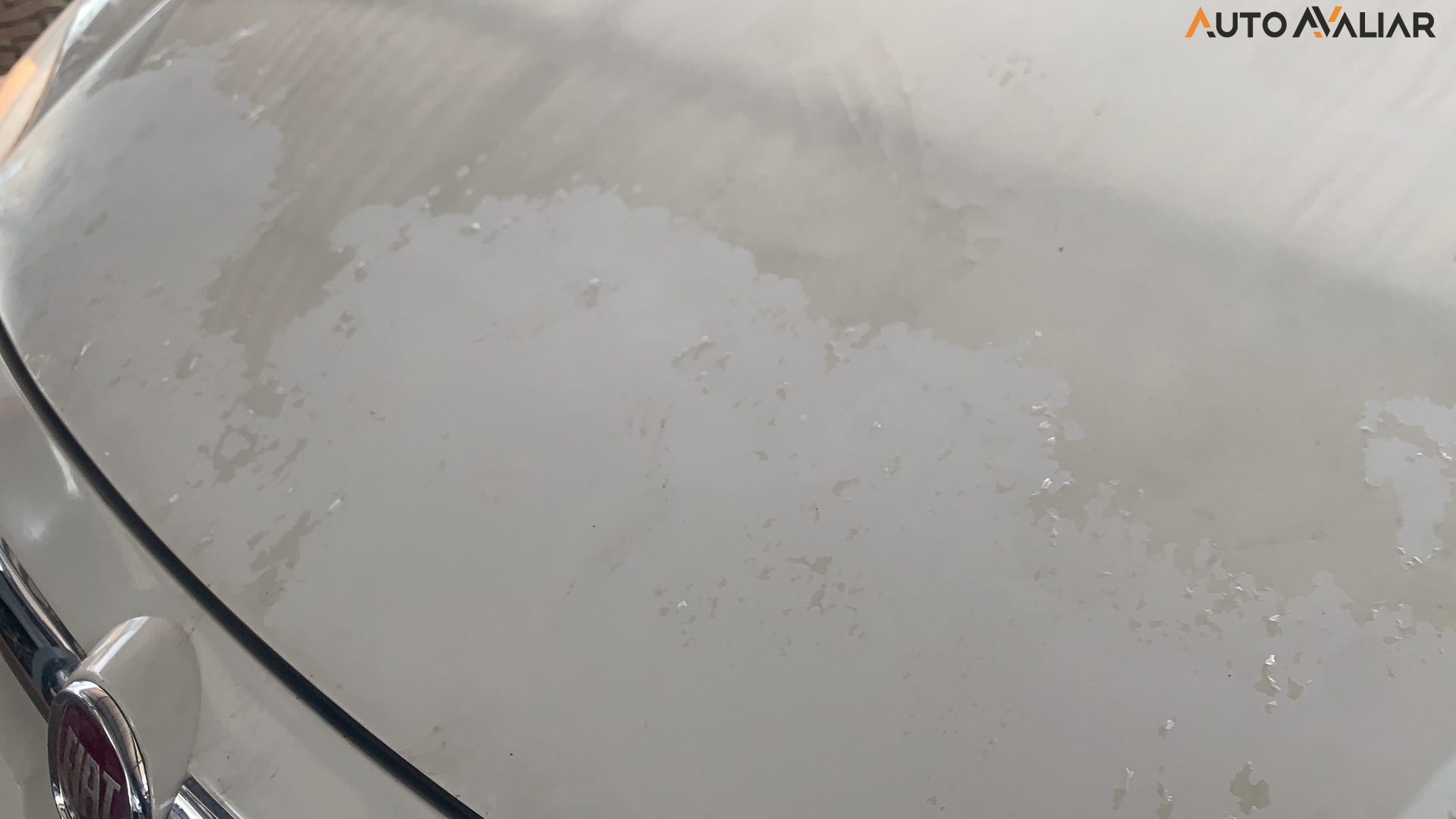 FIAT PALIO 1.4 MPI ATTRACTIVE 8V FLEX 4P MANUAL