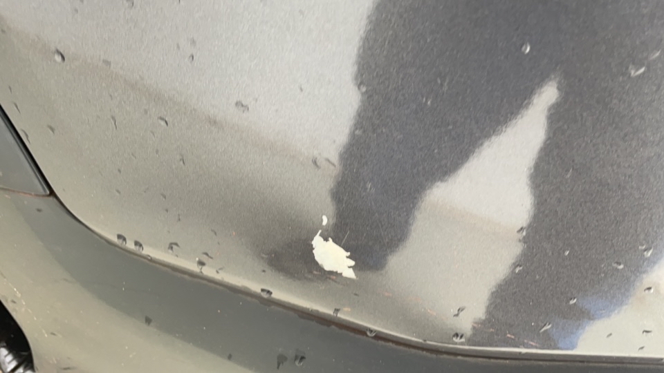 FIAT STRADA 1.3 FIREFLY FLEX VOLCANO CD MANUAL