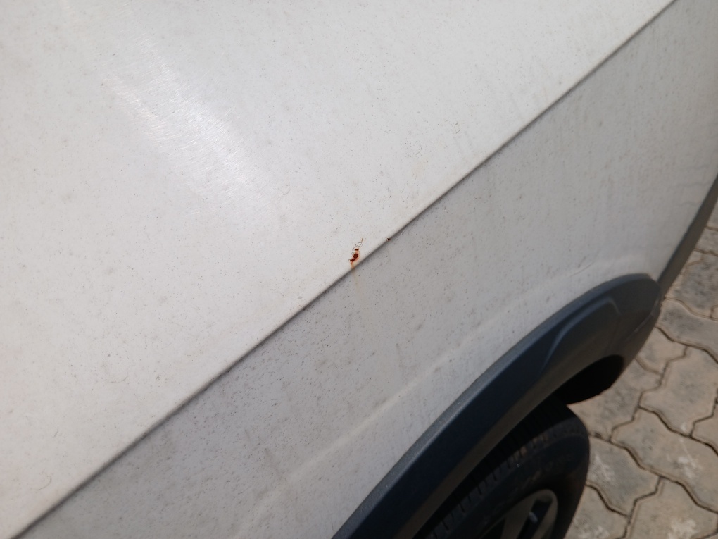 VOLKSWAGEN SAVEIRO 1.6 MSI ROBUST CS 16V FLEX 2P MANUAL