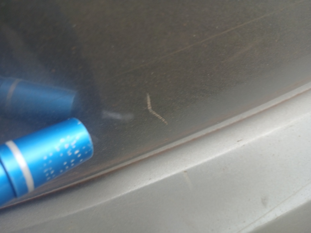 CITROEN C3 1.4 I GLX 8V FLEX 4P MANUAL