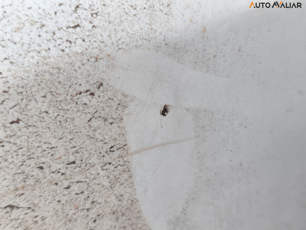 CITROEN C3 1.6 EXCLUSIVE 16V FLEX 4P AUTOMATICO